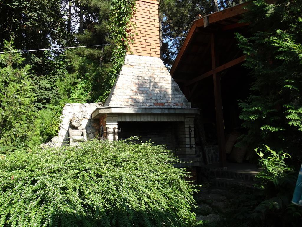 Hotel Grivitsa Pleven ห้อง รูปภาพ