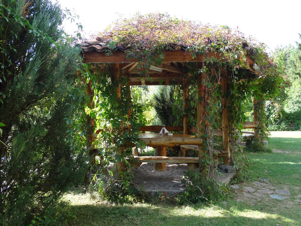 Hotel Grivitsa Pleven ภายนอก รูปภาพ