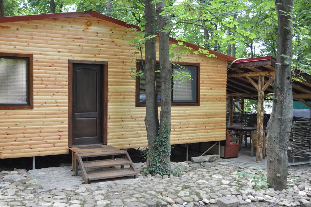 Hotel Grivitsa Pleven ห้อง รูปภาพ