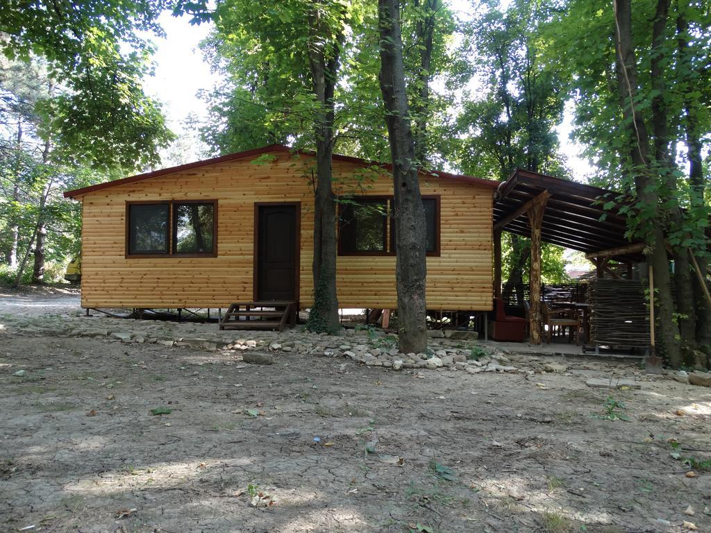 Hotel Grivitsa Pleven ห้อง รูปภาพ